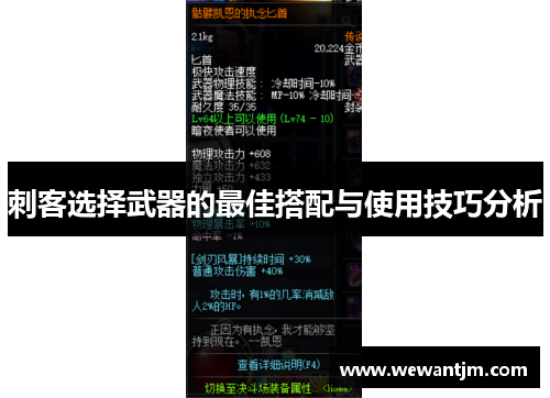 刺客选择武器的最佳搭配与使用技巧分析